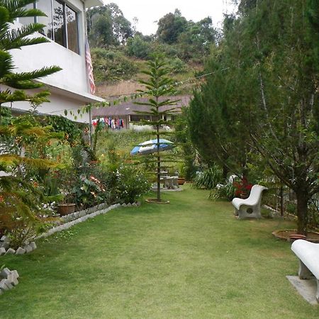 Krs Pines Hotel Cameron Highlands Exterior foto