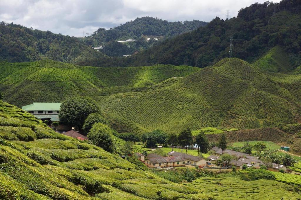 Krs Pines Hotel Cameron Highlands Exterior foto