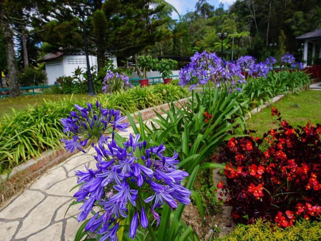 Krs Pines Hotel Cameron Highlands Exterior foto