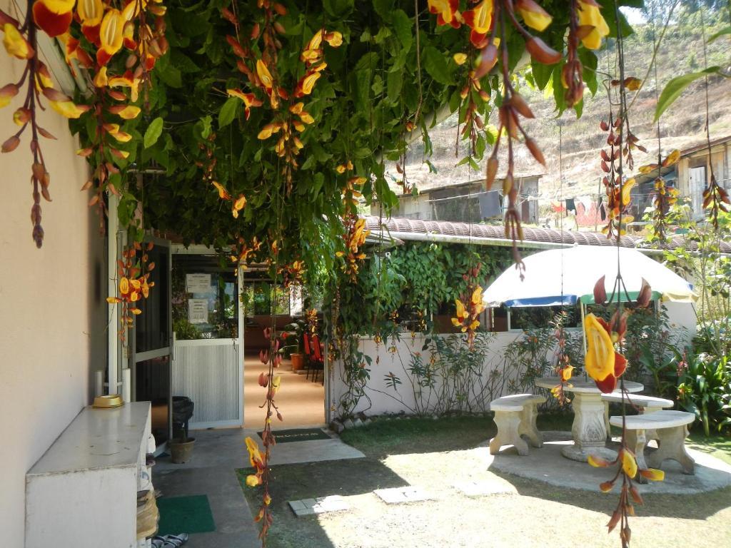 Krs Pines Hotel Cameron Highlands Exterior foto